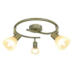 Arte Lamp Спот Arte Lamp Parry A5062PL-3AB