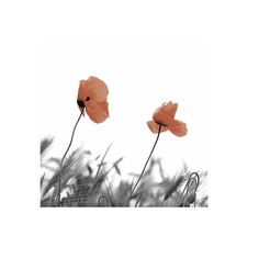 Салфетки Paper+Design Two poppies 3-слойные 33х33 см 20 шт