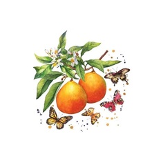 Салфетки Paper+Design Fruity Butterflies 3-слойные 33х33 см 20 шт
