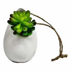 Искусственный суккулент декоративный Конэко-О в керамическом кашпо 10 см