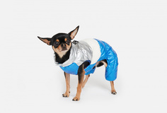 Комбинезон для собак Arnydog