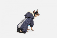 Комбинезон для собак Arnydog