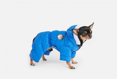 Комбинезон для собак Arnydog