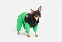 Комбинезон для собак Arnydog