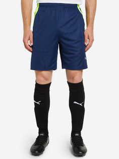 Шорты мужские PUMA Team Liga, Синий