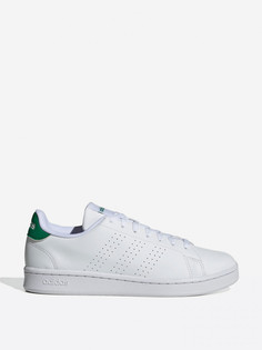 Кеды мужские adidas Advantage, Белый