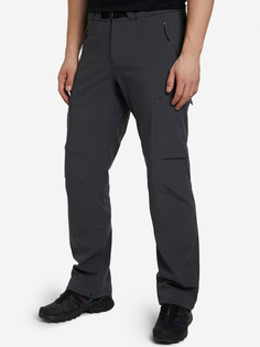 Брюки мужские Arcteryx Gamma, Серый