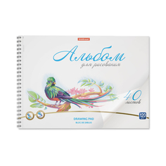 Альбом для рисования Erich Krause Birds А4 на спирали 40 л