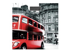 Весы напольные Homestar HS-6001F