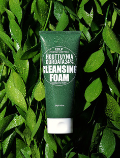 Пенка Derma Factor с экстрактом хауттюйнии Houttuynia Cordata 24% Cleansing Foa