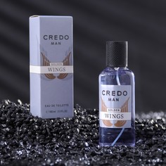Туалетная вода мужская CREDO MAN Golden Wings, 100 мл Delta Parfum