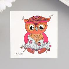 Татуировка на тело цветная Совенок с книгой 6х6 см No Brand