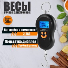 Весы для багажа BashExpo 333010 черные