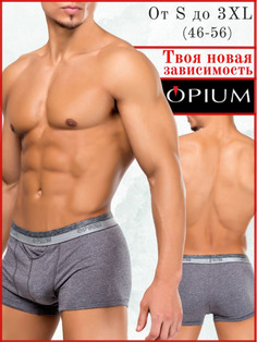 Комплект трусов мужских Opium R107 серых S