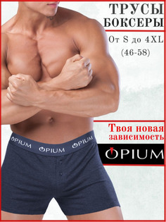 Трусы мужские Opium R31 синие XXXXL