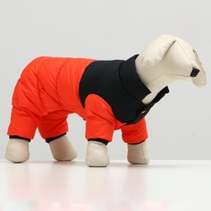 Комбинезон для собак Sima-land Умка, размер 16, черно-оранжевый (7980668) КНР