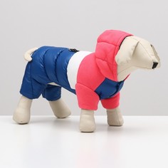 Комбинезон для собак Sima-land Эльф, размер 10, розово-синий КНР