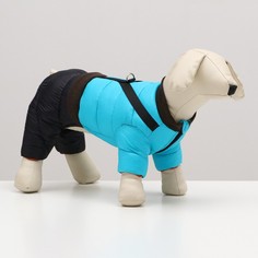 Комбинезон для собак Sima-land Чудо со шлейкой, размер 18, черно-голубой (7980673) КНР