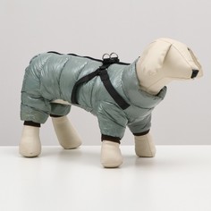 Комбинезон для собак Sima-land со шлейкой Моден, размер 14, серый (7980724) КНР