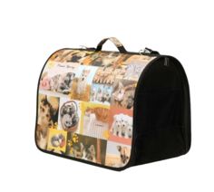 Сумка-переноска для животных Пижон разноцветная с принтом 49х30х35 см