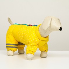 Комбинезон для собак "Горошек", размер 12 (ДС 28 см, ОГ 38 см, ОШ 27 см),жёлто-голубая No Brand