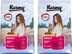 Сухой корм для кошек KARMY ADULT CAT с курицей, 2 шт по 0,4 кг