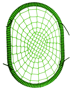 Овальные подвесные Качели гнездо РАЗМЕР 120x140 см толщина обода 72 мм канат обода 16 мм Jinn