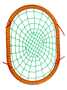 Овальные подвесные Качели гнездо РАЗМЕР 120x160 см толщина обода 72 мм канат обода 16 мм Jinn