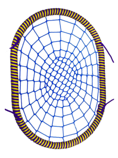Овальные подвесные Качели гнездо РАЗМЕР 80х100 см толщина обода 72 мм канат обода 16 мм Jinn