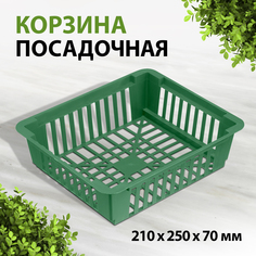 Корзина посадочная 210 х 250 х 70 мм 65075 No Brand