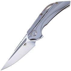 Складной нож Bestech Knives Vigil BT2201A