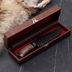 Нож разделочный, кавказский "Кизляр" в подарочной коробке, мельхиор, сталь - 65Х13 No Brand