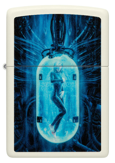 Зажигалка ZIPPO Woman in Tube 48520