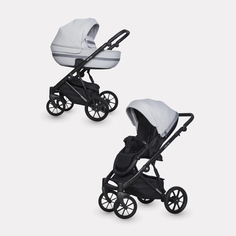 Коляска детская универсальная 2 в 1 Riko Basic Delta от 0 до 36 мес., 01 grey fox