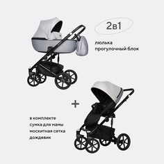 Коляска 2 в 1 Riko Basic Ozon Shine серый 03