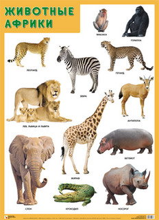Развивающие плакаты Мозаика-Синтез Животные Африки