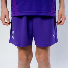 Шорты детские PUMA 70494310м, фиолетовый, 164