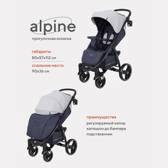 Коляска детская RANT basic ALPINE RA450 Grey