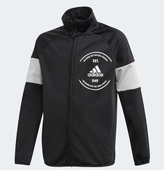 Костюм Adidas Tasto Pes Ts, для мальчиков, спортивный, GL4453, размер 140 см