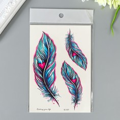Татуировка на тело цветная Пёрышки с сердечками 15х10,5 см (5 шт) 4753394-5p No Brand