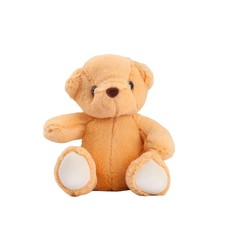 Мягкая игрушка «Мишка Тёмка», 12 см Milo Toys