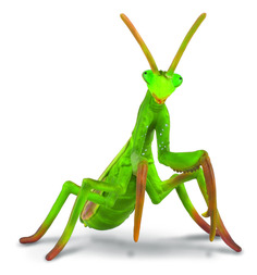 Фигурка животного насекомого Богомол Collecta