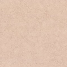 Обои 9163-02 Euro Decor Ray Eurodecor