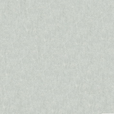 Rasch Обои Rasch Varvara 930641