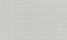 Обои Rasch 960921 AXIOM 4000441960921