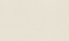 Обои 110449 Rasch Wallton 1,06м x 25м винил на флизелине