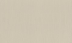 Обои Rasch 968569 Wall Textures XL vol.2 (GUS) 4000441968569