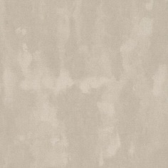 Виниловые обои Rasch Florentine II 455526