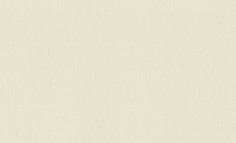 Обои Rasch 968545 Wall Textures XL vol.2 (GUS) 4000441968545