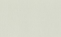 Обои Rasch 968538 Wall Textures XL vol.2 (GUS) 4000441968538